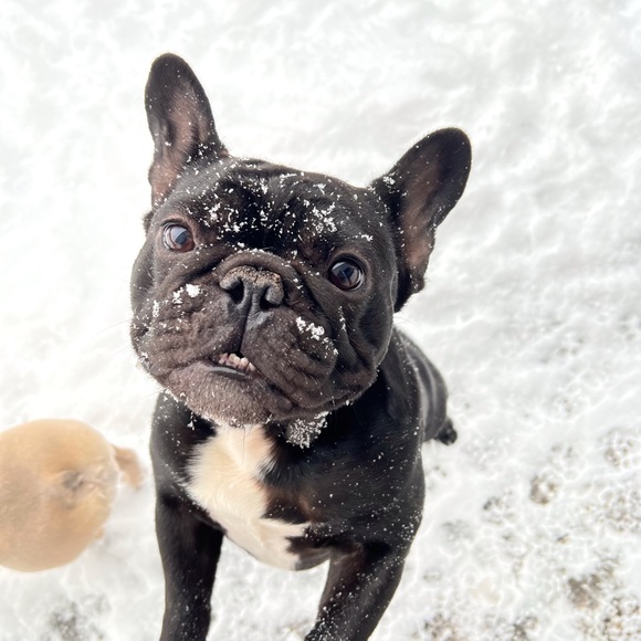 Meet your Posher, Kristi - Picture 12 of 17